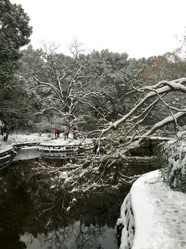树枝雪花