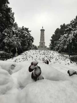 烈士公园雪景