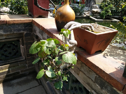 花瓶