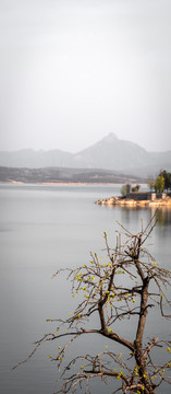 河南泌阳铜山湖