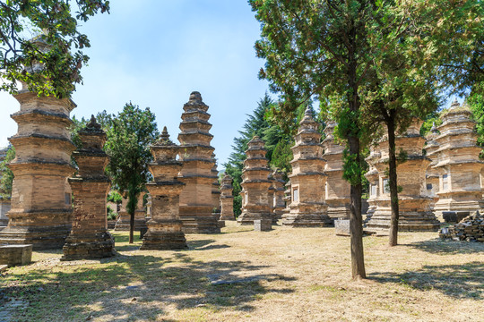 登封少林寺塔林