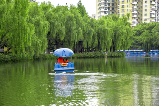 景区游船