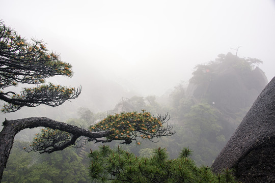 雨雾中的中国江西上饶三清山风光