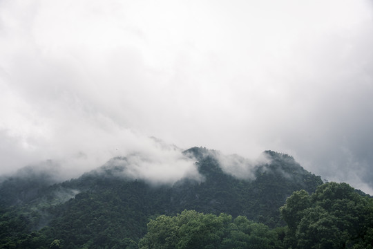 雨雾中的中国江西上饶三清山风光