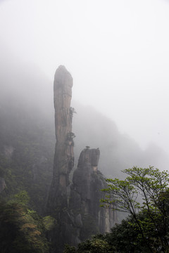 雨雾中的江西三清山巨蟒出山