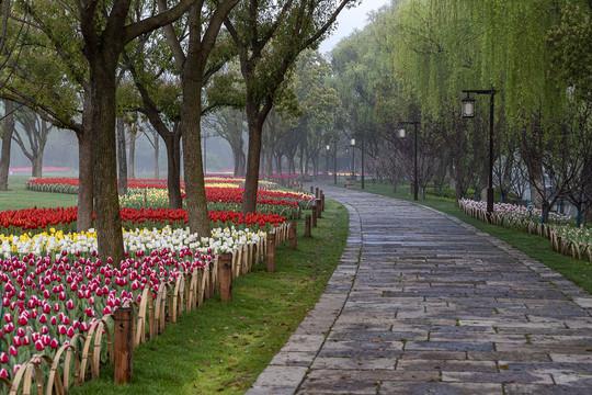 嘉兴南湖路边美景