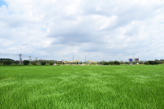 田园风光