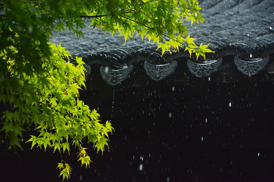 古建筑屋檐小雨