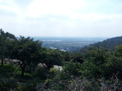城市田园风景俯视图