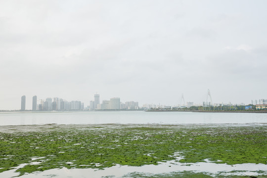 海南海口万绿园的海湾景色