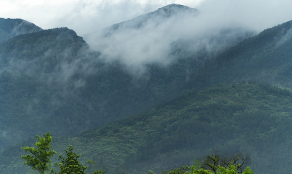 雾漫远山