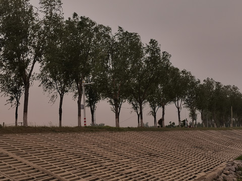道路