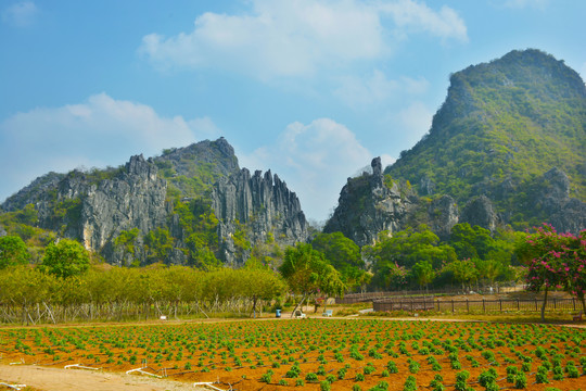 春湾剑锋山