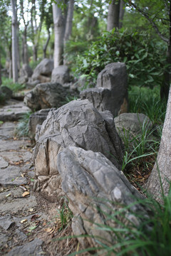 石头石块奇石景观