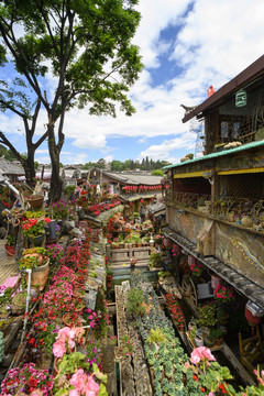 丽江樱花餐厅