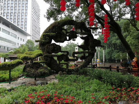 圆型绿植造型