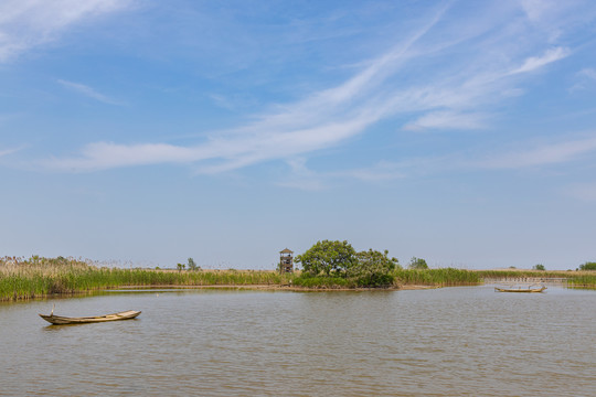 江苏盐城丹顶鹤湿地旅游区