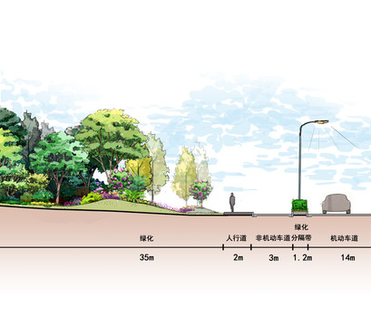 道路绿化断面图