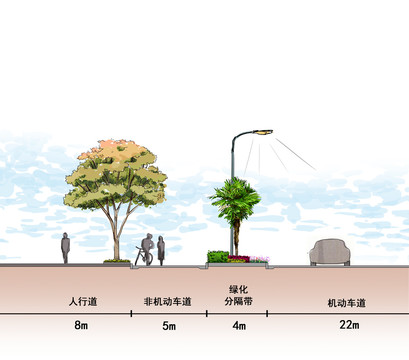 道路绿化断面图