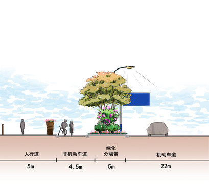 道路绿化典型横断面图