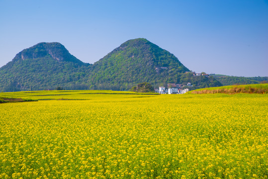 春天田野