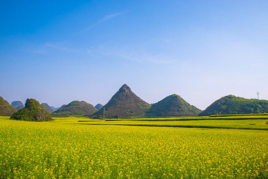 春天田野