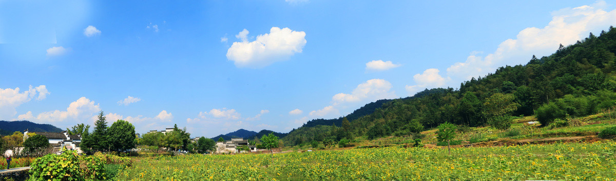 田园田野