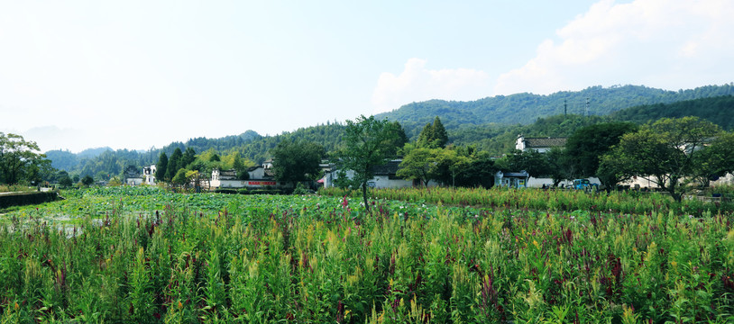 乡村美景