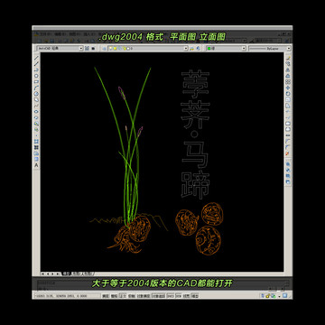 荸荠CAD矢量图