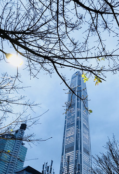 深圳平安金融中心第一高楼