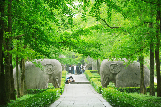 夏天明孝陵石象路