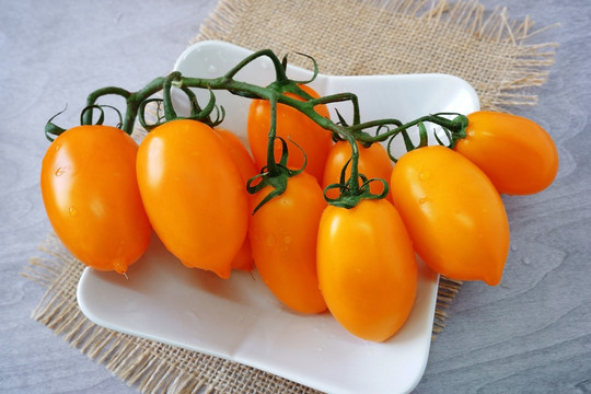 黄西红柿