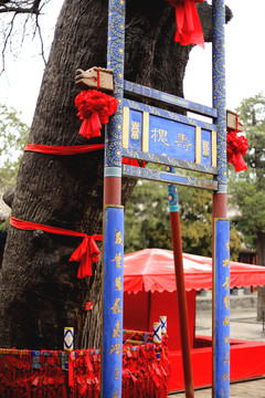 北京民俗博物馆的寿槐