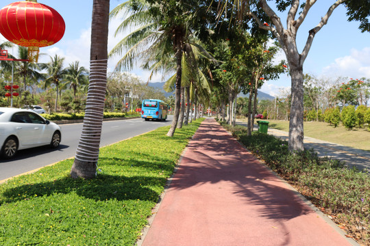 海南的道路绿化