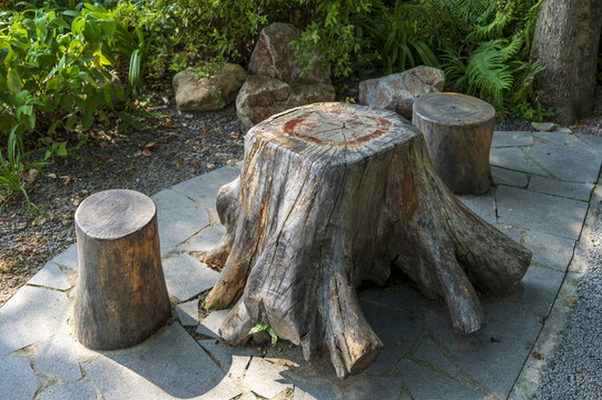 公园里的老树桩休闲凳