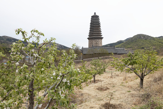 中天寺塔