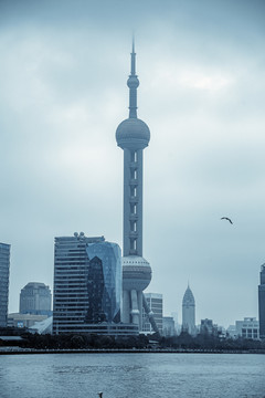 东方明珠阴天