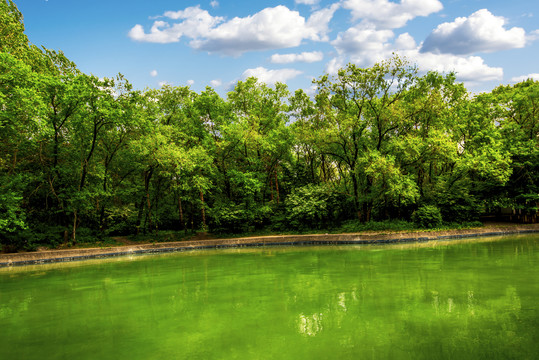 蓝天绿树湖水