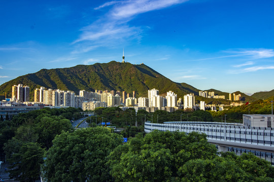 梧桐山远眺