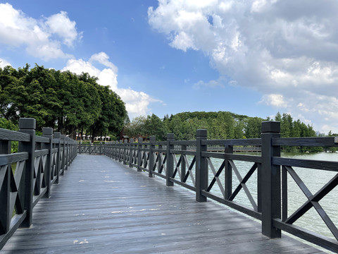海珠湖木桥