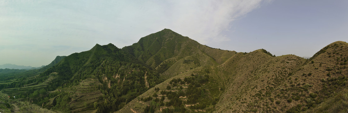 齐山脑
