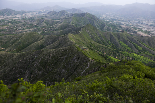 齐山脑1