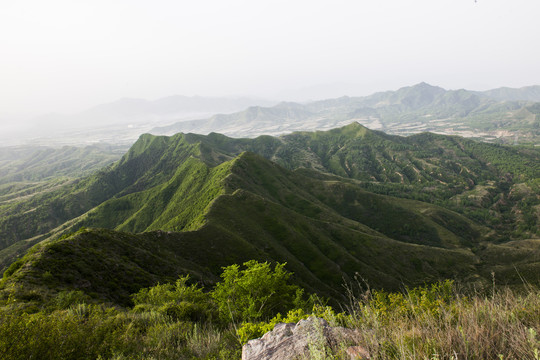 齐山脑4