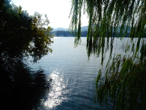 西湖秋景