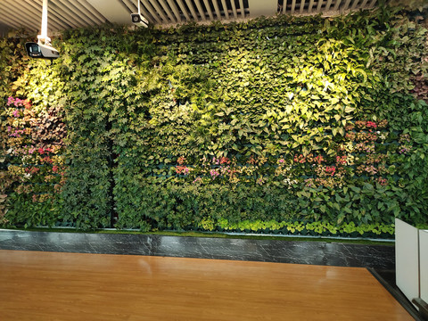 绿植花墙