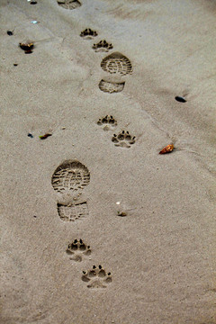 沙滩与脚印