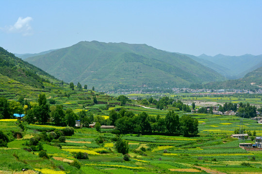 乡村风光