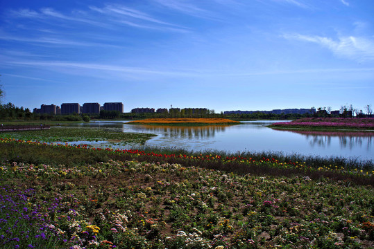 大兴区通明湖公园