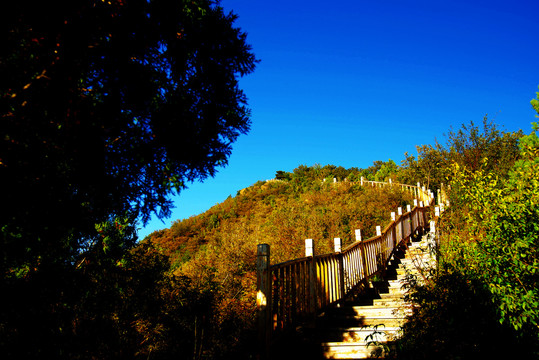 昌平区蟒山国家森林公园