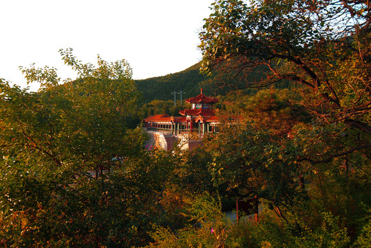 昌平区蟒山国家森林公园